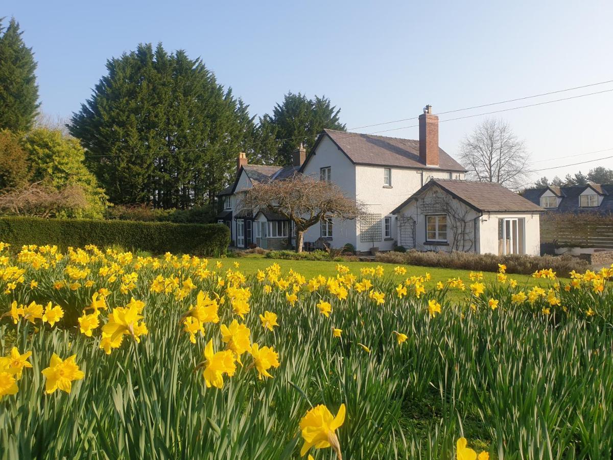 Lower House B&B Adforton Leintwardine Экстерьер фото
